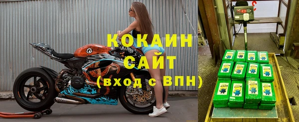 прущие грибы Лабытнанги