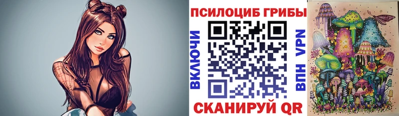 блэк спрут зеркало  что такое   Кандалакша  Псилоцибиновые грибы MAGIC MUSHROOMS 