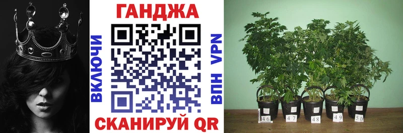 Бошки марихуана Amnesia  нарко площадка состав  Кандалакша 